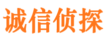 青阳侦探公司